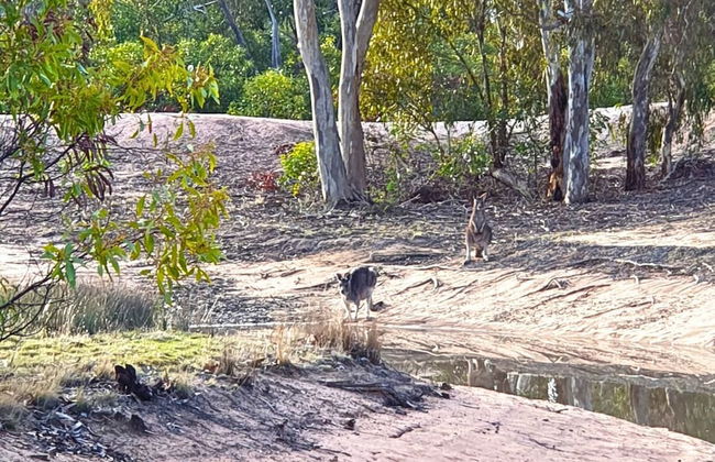 Orchid Lane Cottages - Foto 14