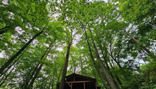 Spring Couples Getaway Hot Tub plus 500Mbps - Foto 5