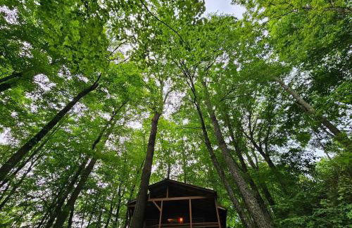 Spring Couples Getaway Hot Tub plus 500Mbps - Foto 5