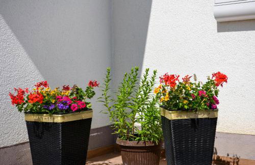 Apartman Katja - Foto 27