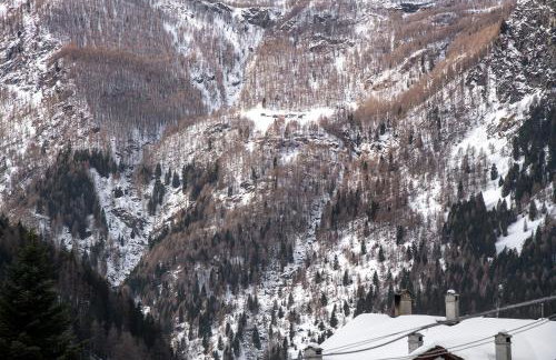 Residence Larice Bianco App n3 - Photo 18