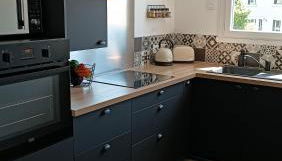 Charmant appartement proche Thales - Foto 3, stove, dishwasher, toaster