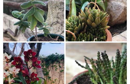 Casa felix - Foto 45