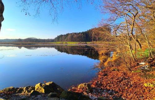 Tiny House 1 im schönen Allgäu mit großem Garten, Naturnah - Foto 20