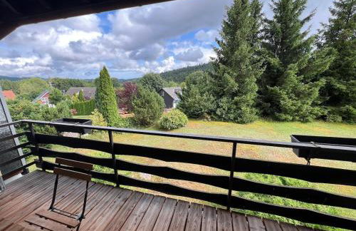 Beautiful apartment & pool Black Forest Häusern 5 people - Foto 1