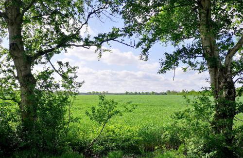 Willkommen ZuhauSee - Foto 24