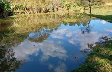 Sítio Vô Nono - Foto 27