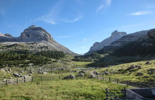Baumgartnerhof - Foto 48