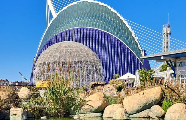 Oferta City Arts and Sciences SEGWAY TOUR - Foto 5