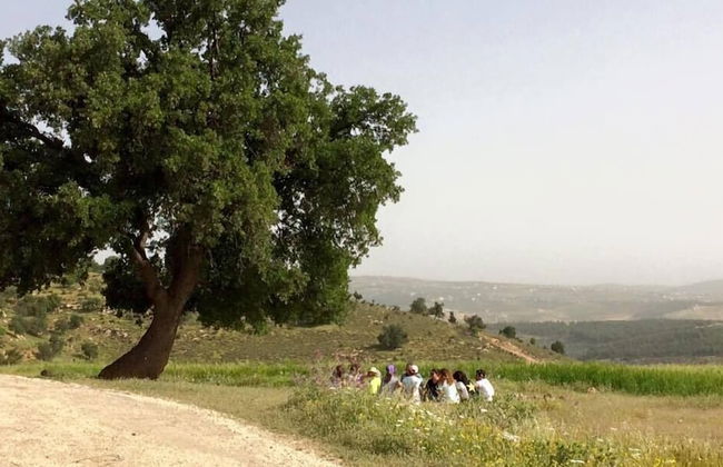 Dibeen Eco Farm House - Foto 28