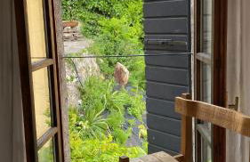 Seeblick und offener Kamin - Casa di Florian - Photo 15