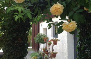 Landloft Haus Probst - Foto 6