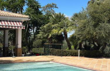 La Algazara - Foto 4