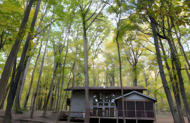 Autumn Wings - A Natural Retreat - Foto 1