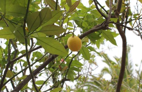 Lovely villa in the gorgeous Porto Hydra - Foto 49