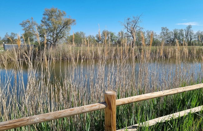 La Cabane du Boumian - Foto 53