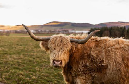 Errol Park - Grand Stately Home & Views - Photo 15