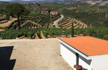 Quinta dos Espinheiros - Foto 115