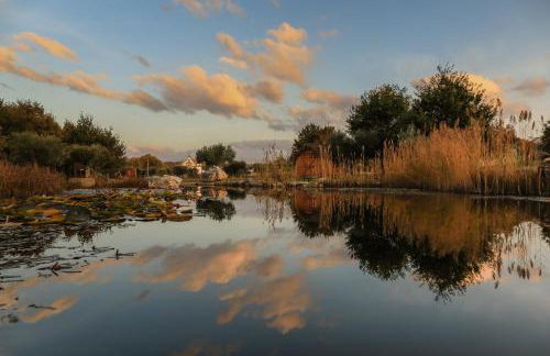Chão do Rio - Turismo de Aldeia - Foto 30