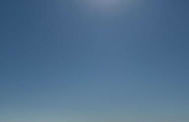 Alocasia luxury stay - Photo 7