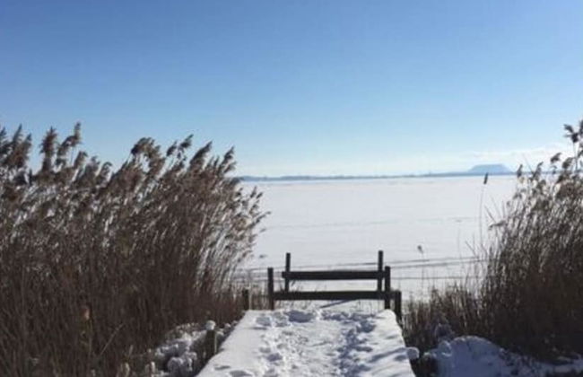 Apartment in Neustadt am Rubenberge - Photo 17