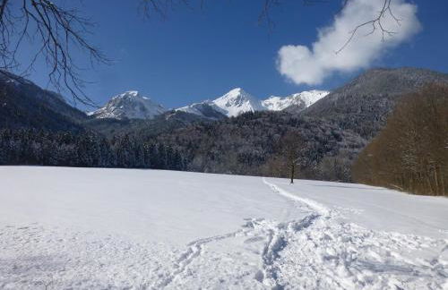 Ferienwohnung Andrea - Photo 9