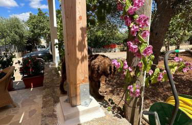 Trullo Gnoffa - Foto 24