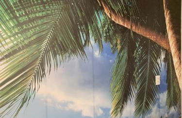 Paraiso dos coqueiros - Photo 30