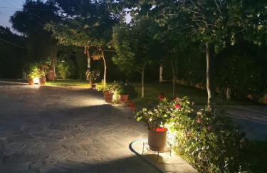 Kardiakafti Village - Foto 44