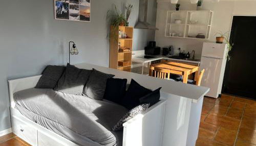 Le Giromagite au pied du Ballon d'Alsace - Foto 4