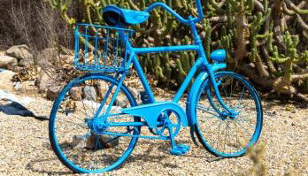 Finca Mamaflo - Foto 2