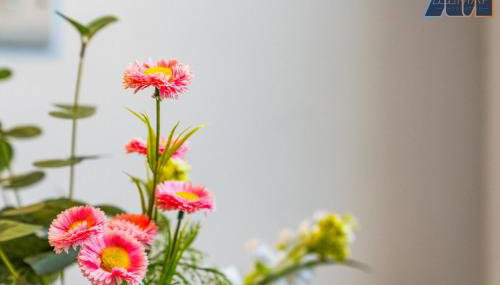 2 Bed Home with Parking Sleeps 4 - Foto 5