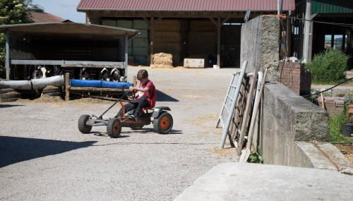 Friesenhof Janssen - Urlaub auf dem Bauernhof - Foto 3