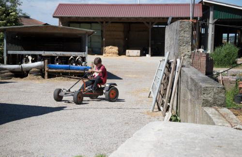 Friesenhof Janssen - Urlaub auf dem Bauernhof - Photo 3
