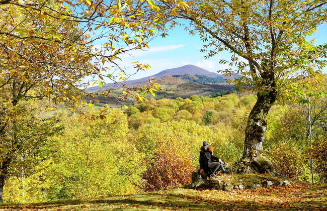 Agriturismo Bio I Rondinelli - Foto 43