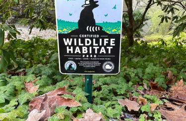 The Mountain House - Foto 43