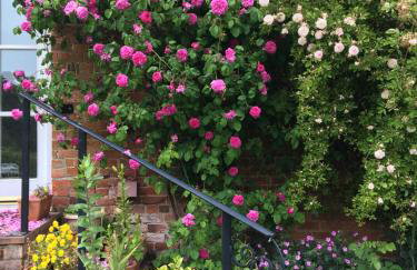 Courtyard Cottages at Ballyscullion Park - Foto 58