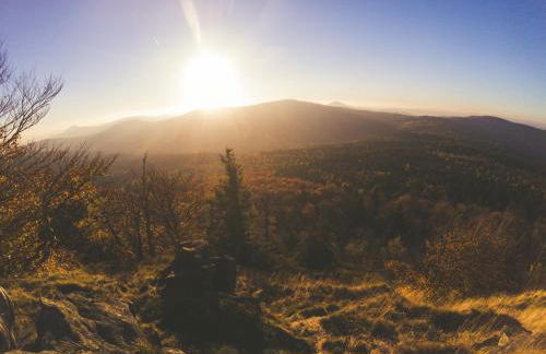 Ferienhaus Zittau Oberlausitz & Ferienwohnung am Hamann Berg - Foto 49