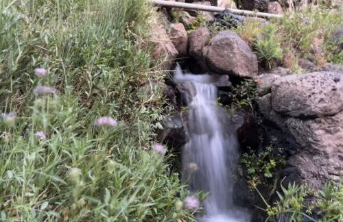 Casita El Molino im grünen Valle Gran Rey - Foto 6