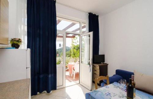 Apartments Mamma Mia- Superior One Bedroom Apartment with Terrace - Foto 4