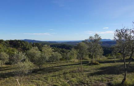 Les jardins de Saint Blaise - Foto 52