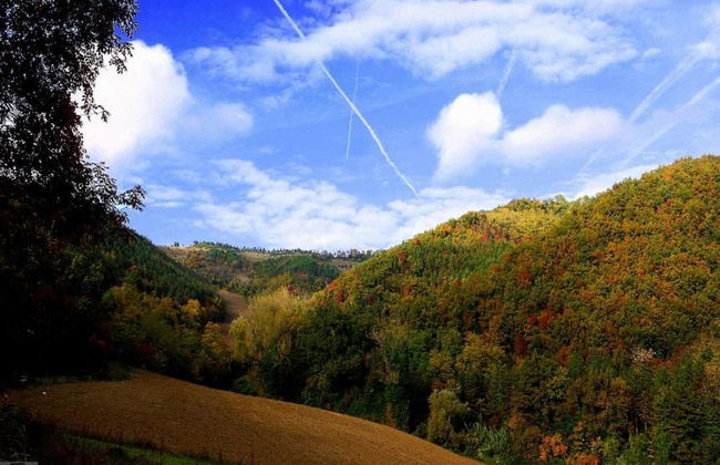 Spacious Home With Pool - Foto 43