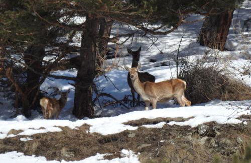 San Marco FARMHOUSE with a view. - Photo 74