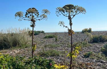 The Old Stable at Manor House, Middleton - Foto 49