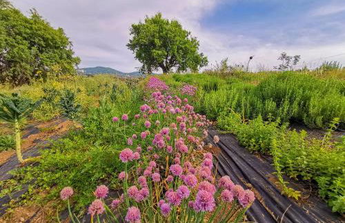 Country House Erba Regina - Foto 43