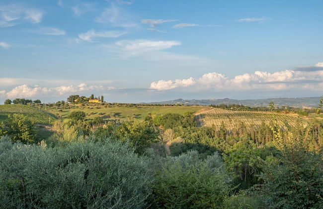 Fi-d895-gate0at - L Oliveta 6 - Foto 49