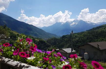 Rayon de soleil CIR 0016 Allein - Foto 1