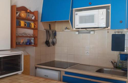 Studio avec balcon sud dans un écrin de verdure, Le Biot - FR-1-573-23 - Foto 14