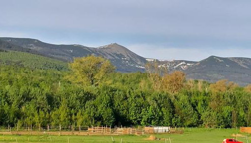 Apartamenty Malinówka pod Śnieżką - Foto 4