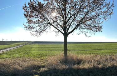 FeWo Zum Ritterorden - Foto 24